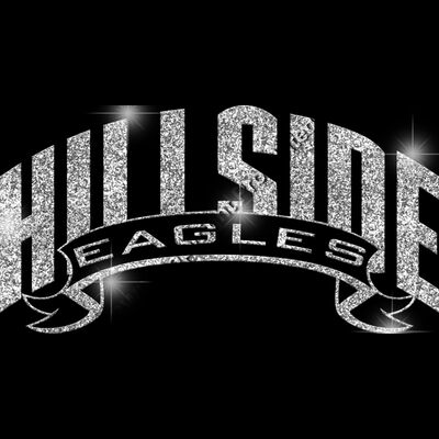 GLT37 SILVER GLITTER Thumbnail